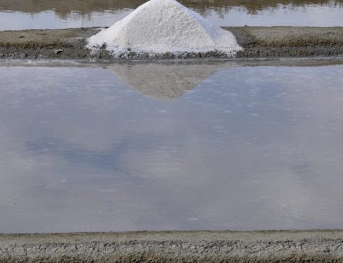 Französisches Meersalz – Das Gold der Küste