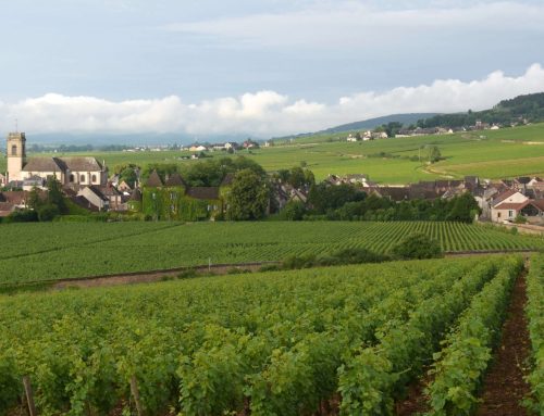 Das Burgund – das kulinarische Herz Frankreichs