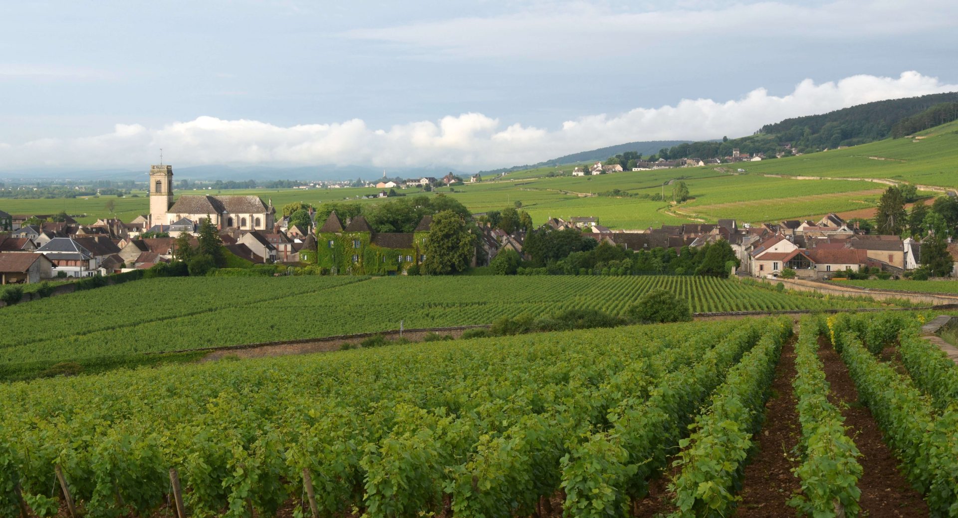 Eine Dorfkirche in einer Weinlandschaft im Burgund
